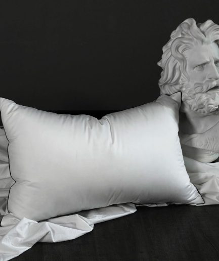 Premium White Down Fiber Pillows Queen Size - High Fill Power Down Fiber Pillow - Hotel Bed Pillows for Back,Side,Stomach Sleepers (2 Pack,20" x 28")