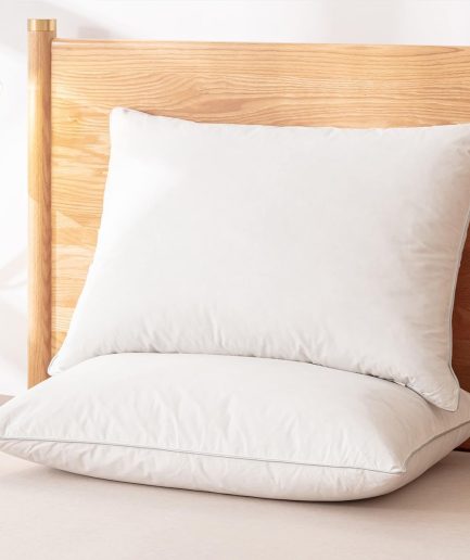 Premium Feathers Down Pillows,White Queen Pillows Set of 2,Luxury Hotel Collection Down Pillows,100% Organic Cotton Fabric,Breathable and Skin-Friendly,650 Thread Count