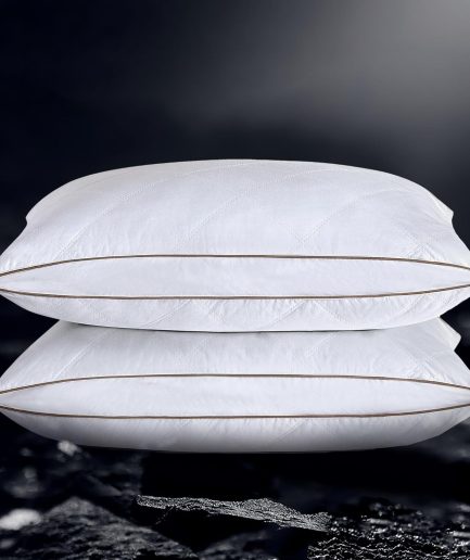 Feather and Down Pillows,Oval Gusseted Feather Down Pillow for Sleeping, 100% Cotton Pillow Cover, Standard Size, Set of 2